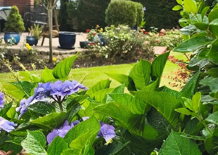 Appartement Haus Wolfgang *